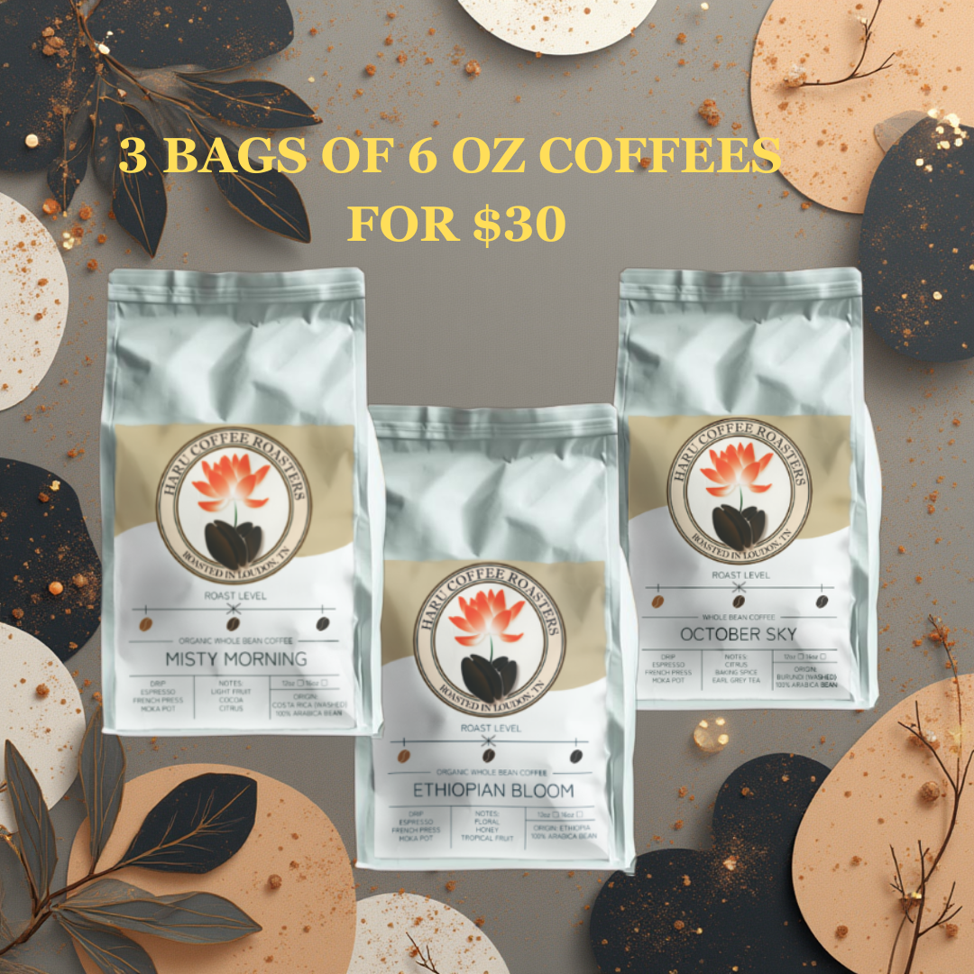 Haru Coffee Roasters Set of 3